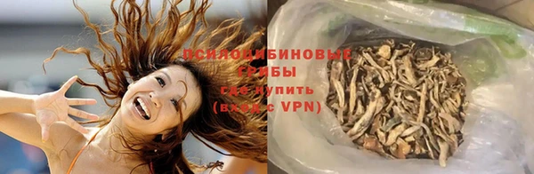 трава Алзамай