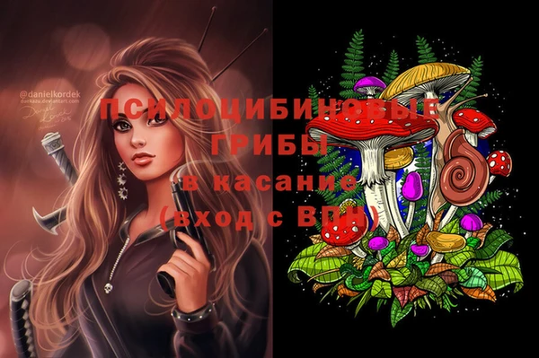 СК Алексин